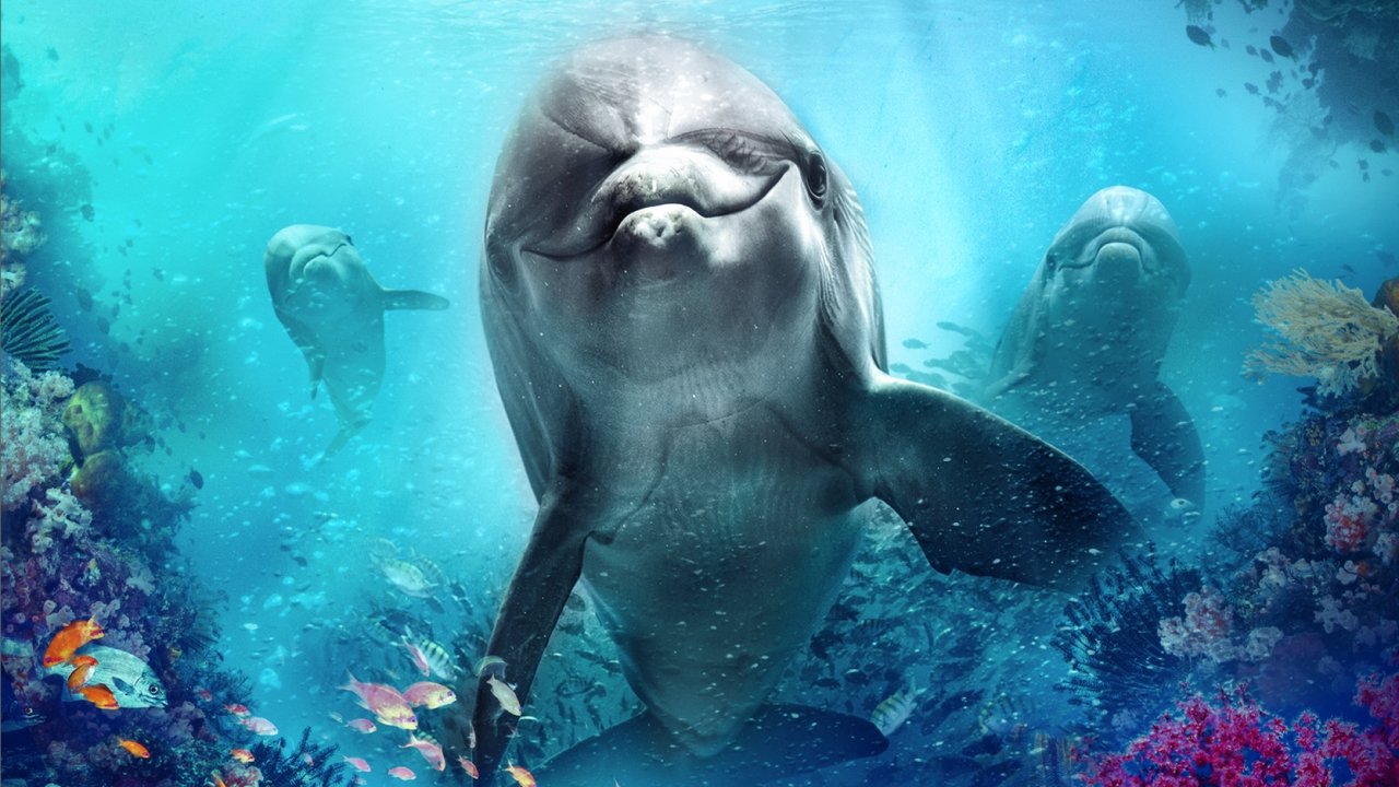 Bernie the Dolphin Collection background